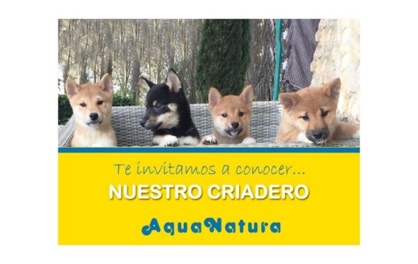 nuestro-criadero nuestro-criadero