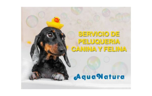 servicio-peluqueria servicio-peluqueria